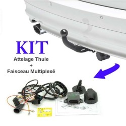  FAISCEAU MULTIPLEXÉ