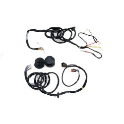Faisceau spécifique 13 broches Renault KANGOO 2 de 2008 au 4/2013