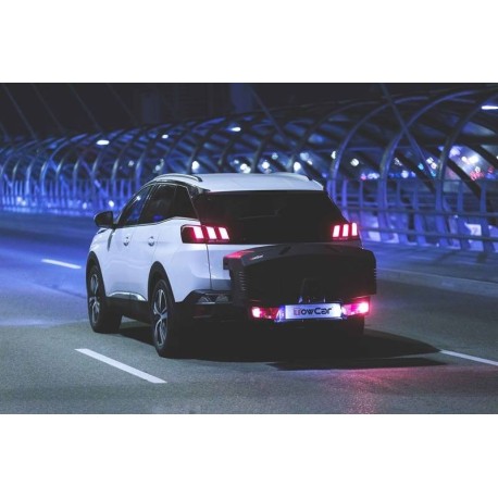 Coffre de rangement sur attelage ReCargo