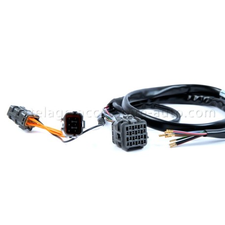 Faisceau spécifique 7 broches Isuzu D-Max à partir du 6/2012