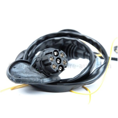 FAISCEAU SPÉCIFIQUE [COL DE CYGNE]