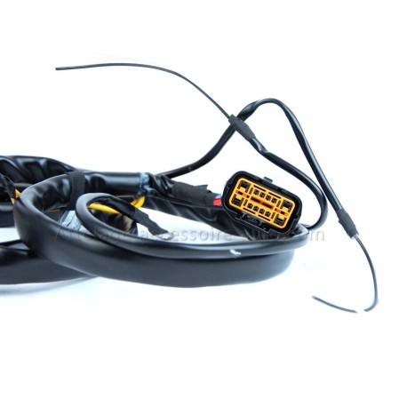 Faisceau spécifique13 broches pour Hyundai Santa-fe III