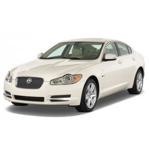 XF
