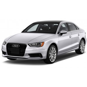 A3