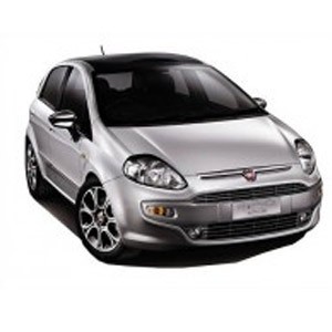 Punto Evo