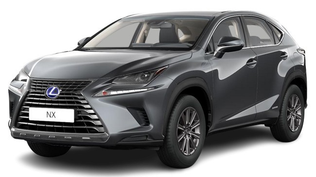 NX 300h