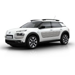 C4 Cactus